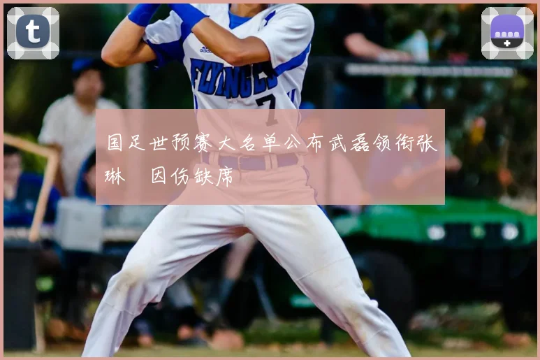 国足世预赛大名单公布武磊领衔张琳芃因伤缺席