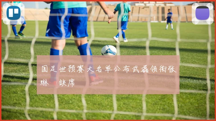 国足世预赛大名单公布武磊领衔张琳芃缺席