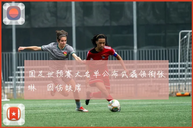 国足世预赛大名单公布武磊领衔张琳芃因伤缺席