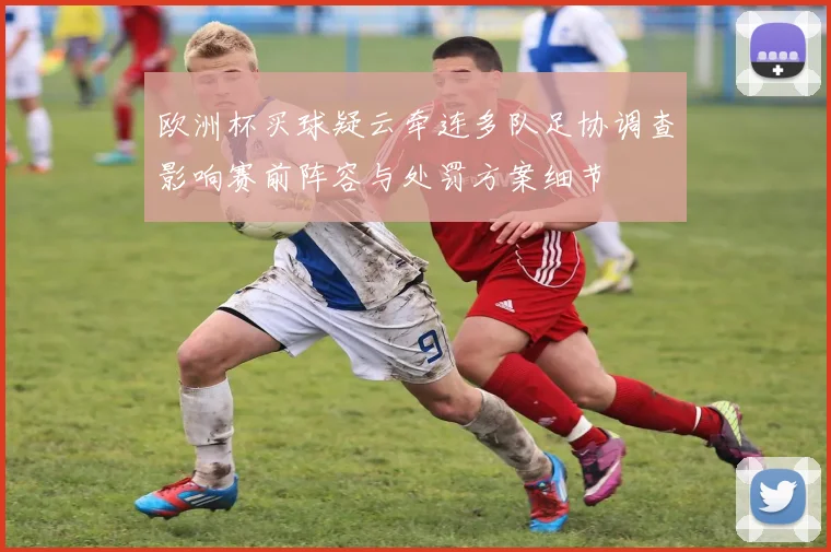 欧洲杯买球疑云牵连多队足协调查影响赛前阵容与处罚方案细节