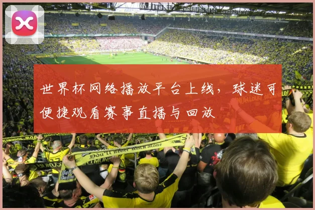 世界杯网络播放平台上线,球迷可便捷观看赛事直播与回放