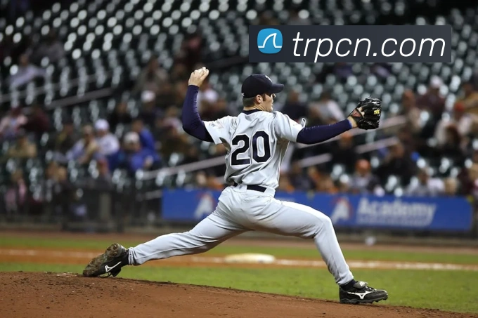 熊猫体育在线登录入口平台生态图